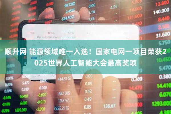 顺升网 能源领域唯一入选！国家电网一项目荣获2025世界人工智能大会最高奖项