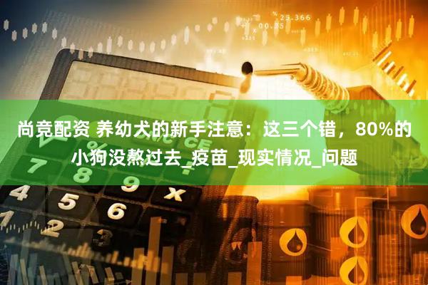 尚竞配资 养幼犬的新手注意：这三个错，80%的小狗没熬过去_疫苗_现实情况_问题