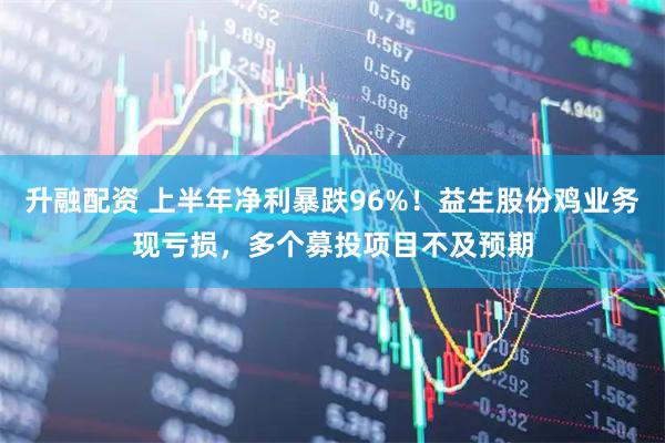 升融配资 上半年净利暴跌96%！益生股份鸡业务现亏损，多个募投项目不及预期