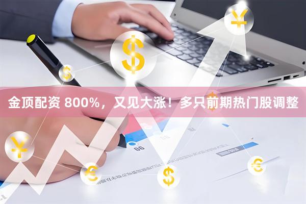 金顶配资 800%，又见大涨！多只前期热门股调整