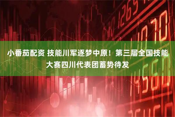 小番茄配资 技能川军逐梦中原！第三届全国技能大赛四川代表团蓄势待发